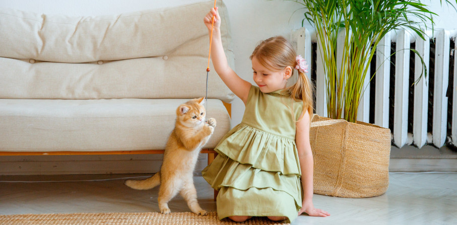 Ein Mädchen spielt Zuhause mit einer Katze.