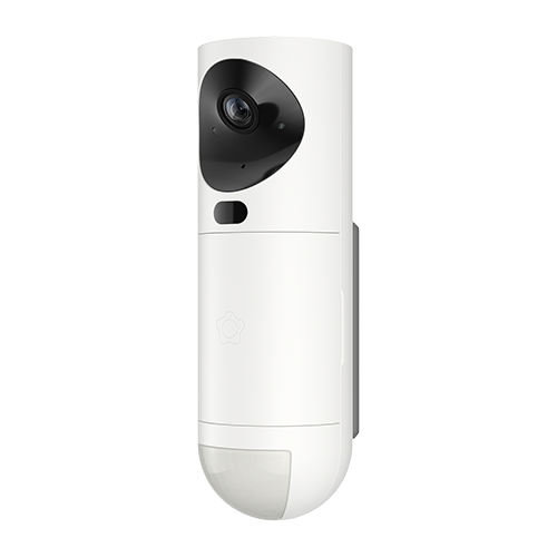 Videodetektor