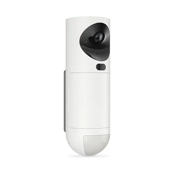 Videodetektor