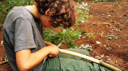 Waldpädagogik für Kinder Kinder schnitzen Holz im Wald